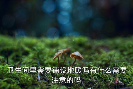  卫生间里需要铺设地暖吗有什么需要注意的吗