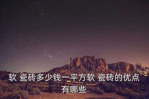 软 瓷砖多少钱一平方软 瓷砖的优点有哪些