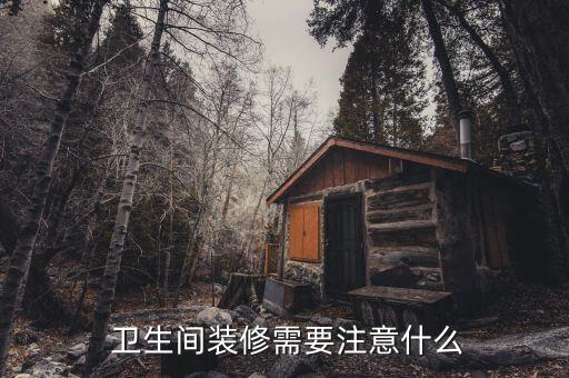  卫生间装修需要注意什么