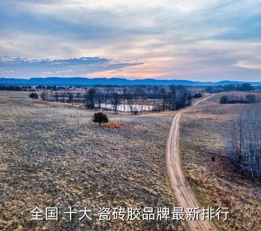全国 十大 瓷砖胶品牌最新排行