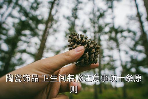 陶瓷饰品 卫生间装修注意事项十条原则