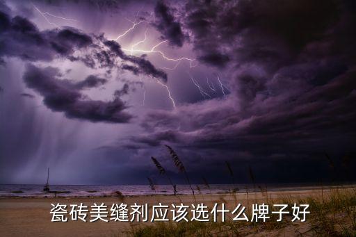  瓷砖美缝剂应该选什么牌子好