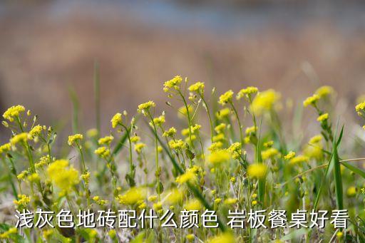 岩板瓷砖家具效果图,兰州瓷砖岩板家具维修公司