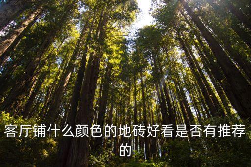 客厅铺什么颜色的地砖好看是否有推荐的