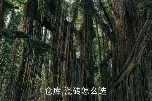 仓库 瓷砖怎么选