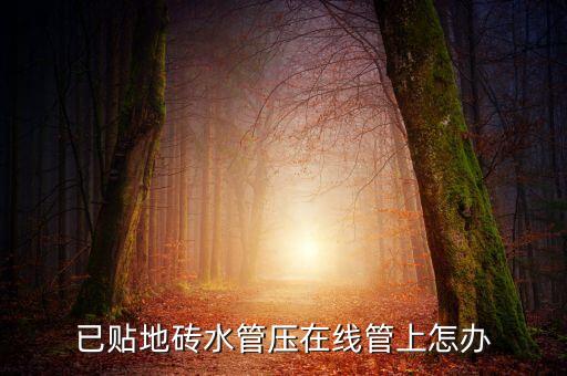 瓷砖管道支架安装效果图,包下水管道的瓷砖支架厂家