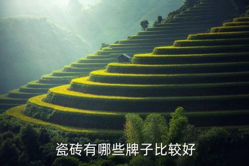 瓷砖2017品牌,中国十大瓷砖品牌排行榜