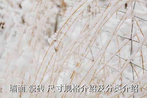 墙面 瓷砖 尺寸规格介绍及分类介绍