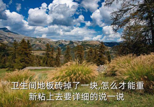 卫生间瓷砖脱落改造视频