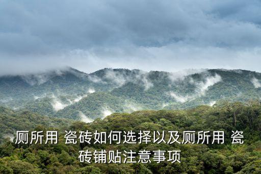 厕所用 瓷砖如何选择以及厕所用 瓷砖铺贴注意事项
