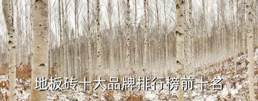 地板砖十大品牌排行榜前十名