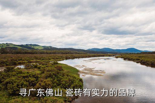 寻广东佛山 瓷砖有实力的品牌