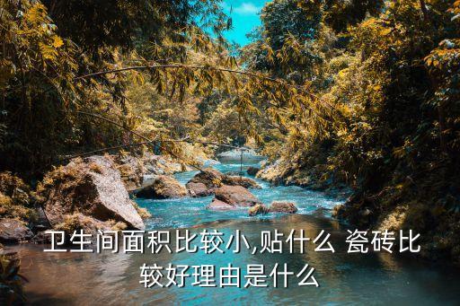 老式小方格瓷砖卫生间,卫生间小方格瓷砖效果图