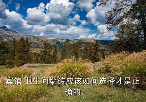 宾馆 卫生间墙砖应该如何选择才是正确的