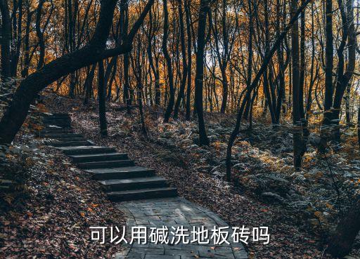 可以用碱洗地板砖吗