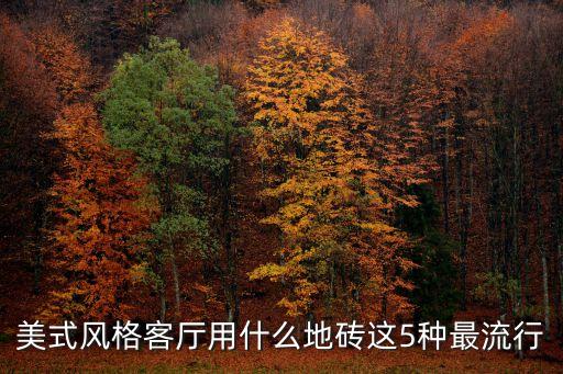 美式风格客厅用什么地砖这5种最流行