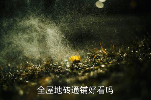 全屋地砖通铺好看吗