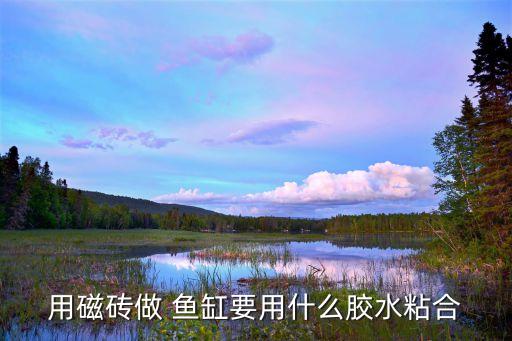 用磁砖做 鱼缸要用什么胶水粘合