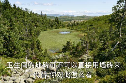  卫生间的地砖可不可以直接用墙砖来代替,你对此怎么看