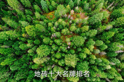东北最好的瓷砖品牌,瓷砖切割机什么品牌质量最好