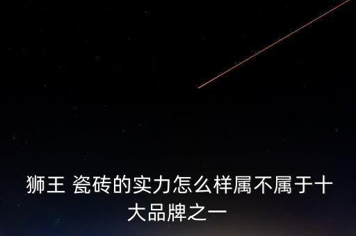  狮王 瓷砖的实力怎么样属不属于十大品牌之一