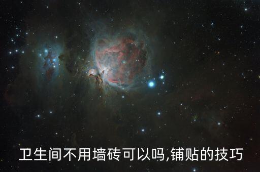  卫生间不用墙砖可以吗,铺贴的技巧