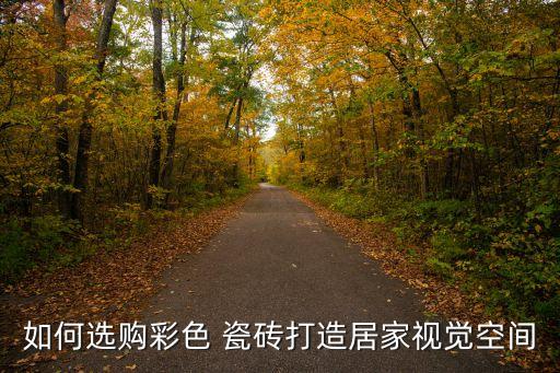 如何选购彩色 瓷砖打造居家视觉空间