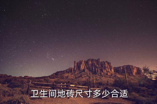  卫生间地砖尺寸多少合适