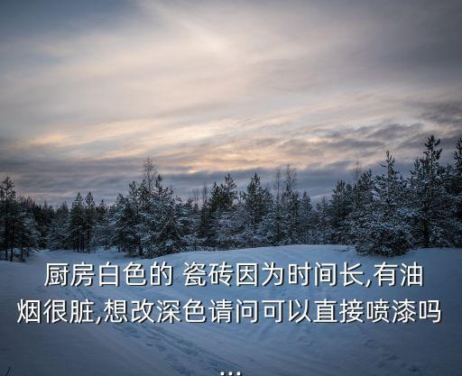  厨房白色的 瓷砖因为时间长,有油烟很脏,想改深色请问可以直接喷漆吗...