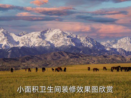 小面积卫生间装修效果图欣赏