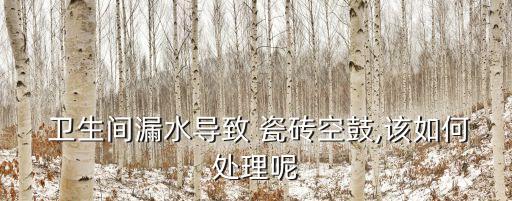  卫生间漏水导致 瓷砖空鼓,该如何处理呢