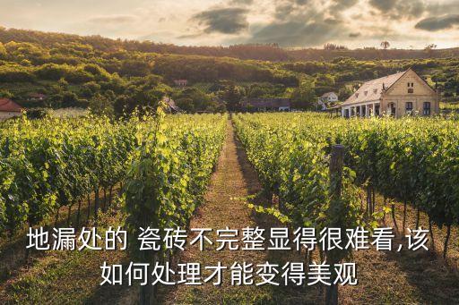 地漏处的 瓷砖不完整显得很难看,该如何处理才能变得美观