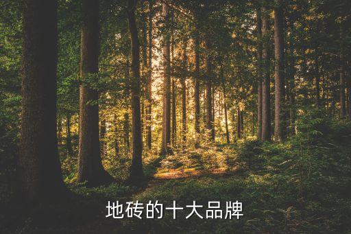 超耐磨瓷砖有几家毕节品牌