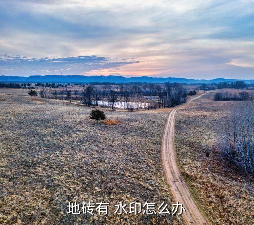 地砖有 水印怎么办