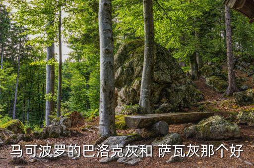 马可波罗的巴洛克灰和 萨瓦灰那个好