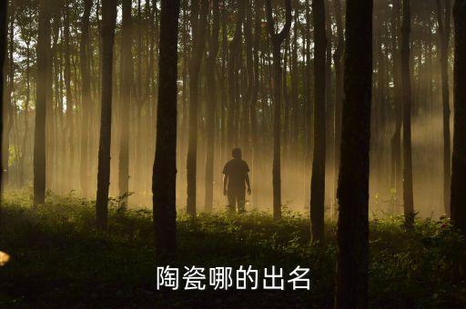 陶瓷哪的出名