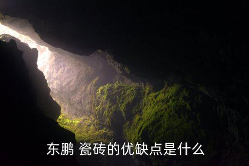 东鹏瓷砖地板砖效果图,地板砖马可波罗好还是东鹏瓷砖好
