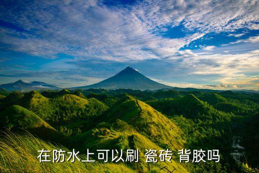 在防水上可以刷 瓷砖 背胶吗