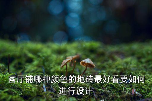 米色瓷砖客厅搭配效果图,客厅地面和墙面瓷砖搭配效果图