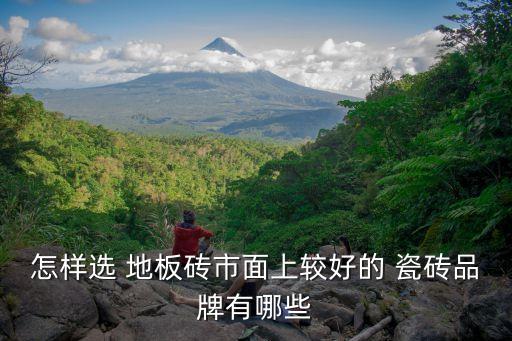 怎样选 地板砖市面上较好的 瓷砖品牌有哪些