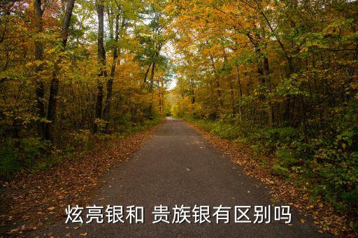 炫亮银和 贵族银有区别吗