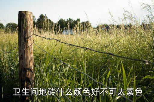  卫生间地砖什么颜色好不可太素色