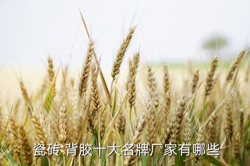  瓷砖 背胶十大名牌厂家有哪些