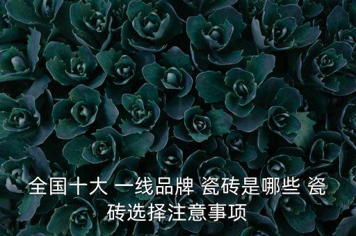 全国十大 一线品牌 瓷砖是哪些 瓷砖选择注意事项