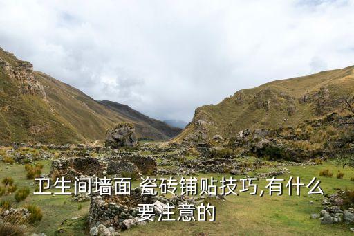  卫生间墙面 瓷砖铺贴技巧,有什么要注意的