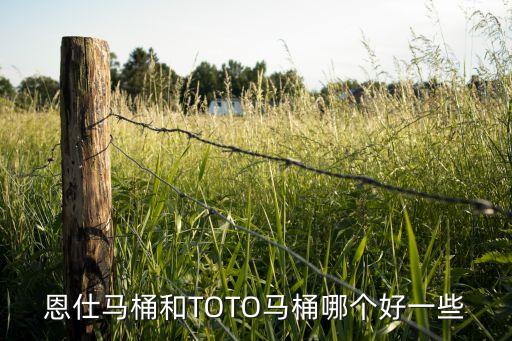 恩仕马桶和TOTO马桶哪个好一些