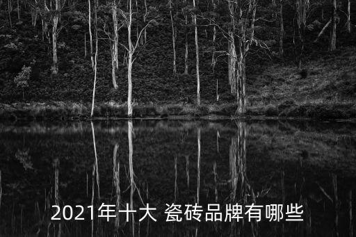 2021年十大 瓷砖品牌有哪些