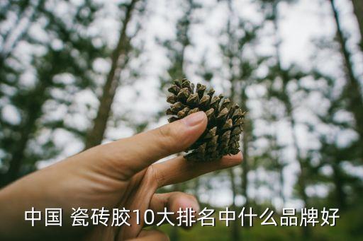 中国 瓷砖胶10大排名中什么品牌好