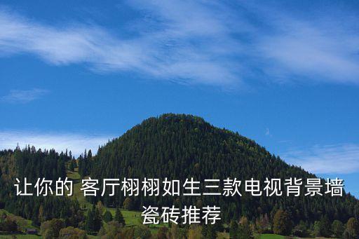 精雕瓷砖客厅效果图,750乘1500的瓷砖客厅效果图