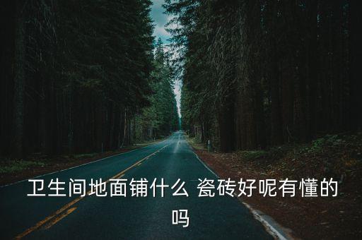  卫生间地面铺什么 瓷砖好呢有懂的吗